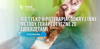kurs instruktora hipoterapia