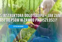 Kurs instruktora dogoterapii – jak zostać dogoterapeutą i zamienić miłość do psów w zawód przyszłości? Jak zostać dogoterapeutą