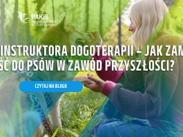Jak zostać dogoterapeutą