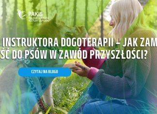 Jak zostać dogoterapeutą