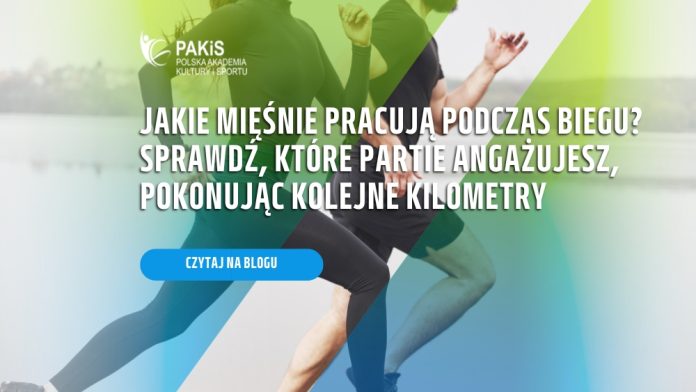Jakie mięśnie pracują podczas biegu? Sprawdź, które partie angażujesz, pokonując kolejne kilometry
