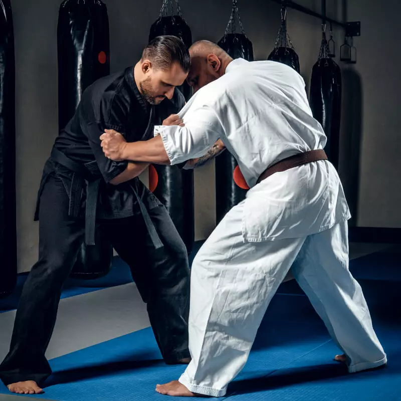 Kurs Instruktora Aikido