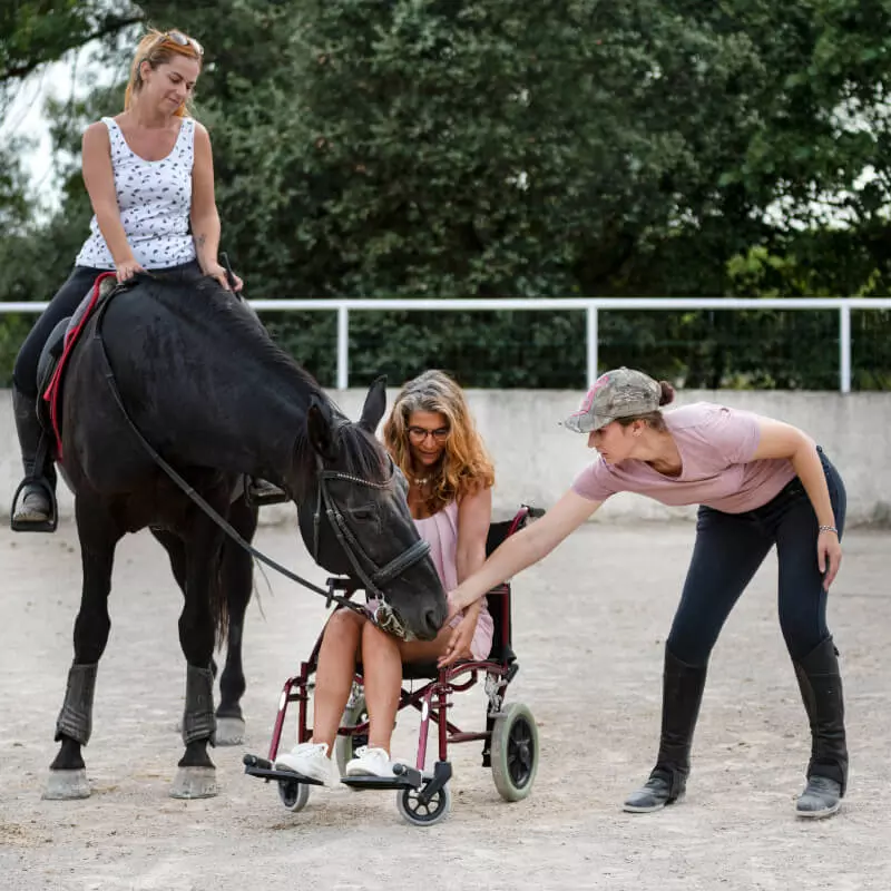 Kurs Instruktora Jazdy Konnej Osób Niepełnosprawnych