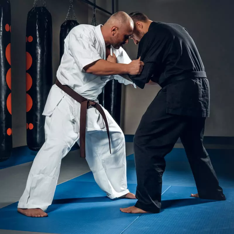 Kurs Trenera Klasy II - Brazylijskie Jiu Jitsu