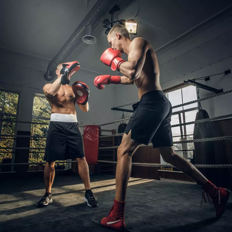 Kurs Instruktora MMA